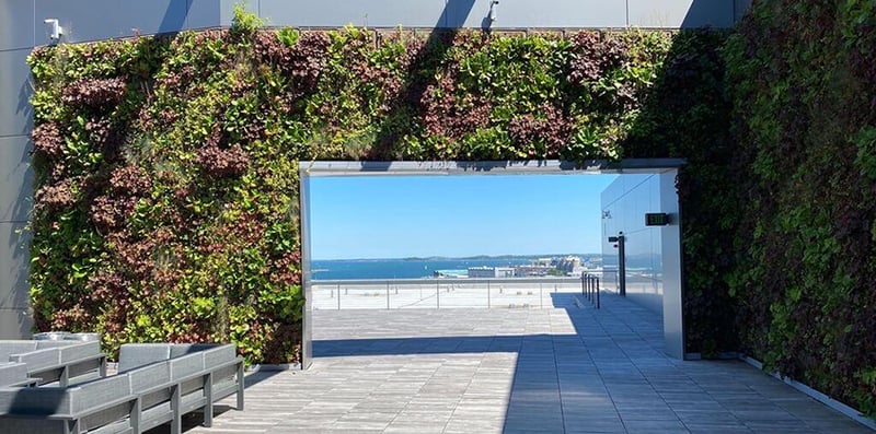 Pier 4 Rooftop Terrace preview 21